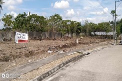 Lots for SALE at MARIA LUISA NORTH - THE HERITAGE SUBD in Mandaue